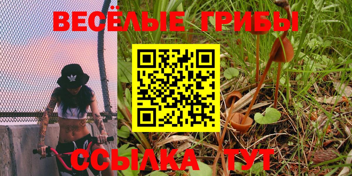 Псилоцибиновые грибы Psilocybe  Апрелевка 