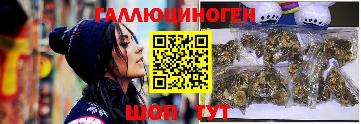 Псилоцибиновые грибы Psilocybine cubensis  Галлюциногенные грибы мухоморы  Вход с VPN  Апрелевка 